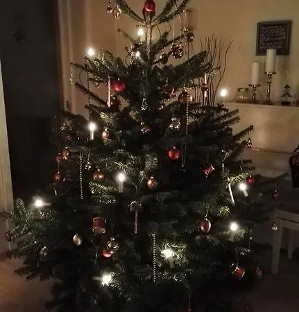 Bagergade Lejlighed *